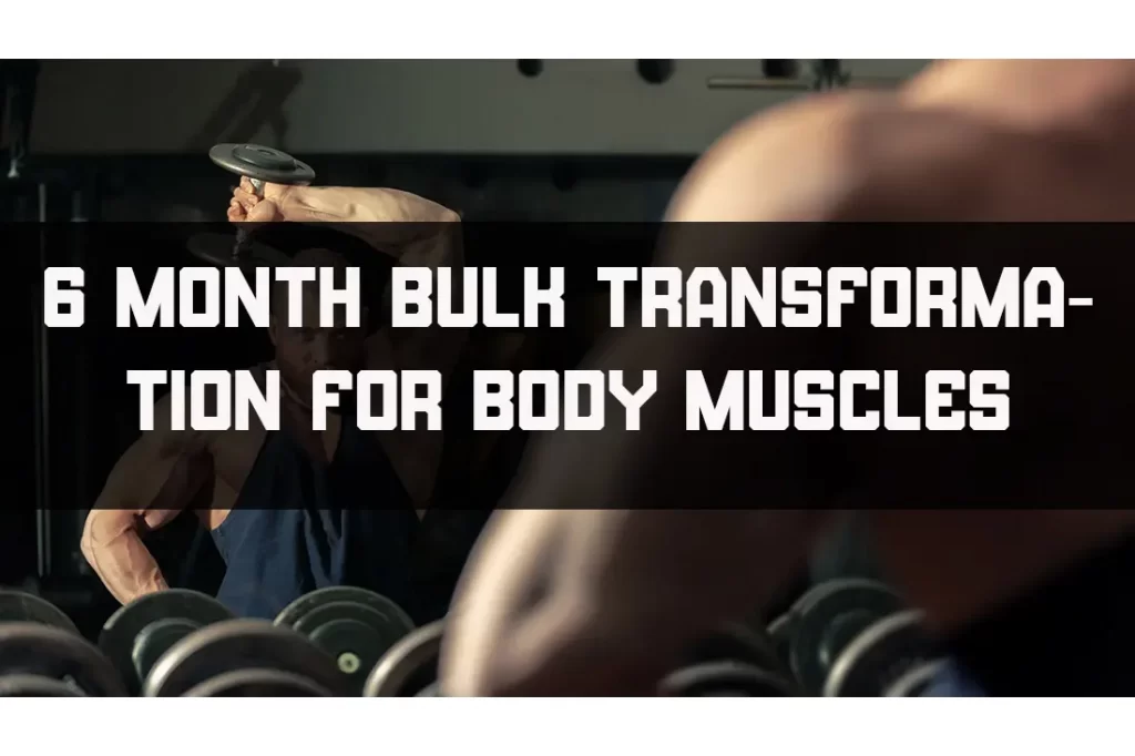 bulking workouts plan